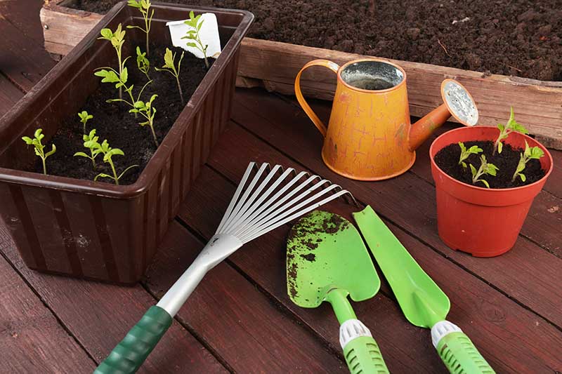Gardening Kit Greenland Nursery Chennai Gardening Kit Greenland Nursery Chennai