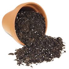 Black Powder Potting Mix Soil In Chennai for Vegetables 25kg, For  Gardening, Packaging Type: Bag at Rs 425/kg in Chennai